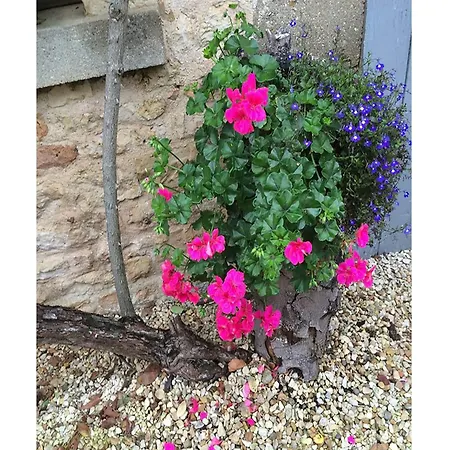 In Charente With Pool Casa vacanze *